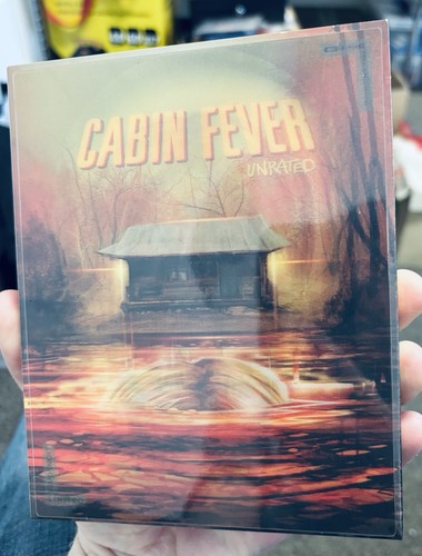 New cabin fever - new,