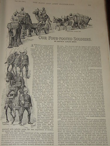 1896 soldati quattro zampe - quattro,