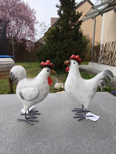 Stupenda coppia decorativa