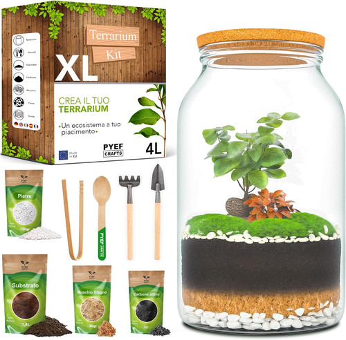 Terrarium kit per - kit, xl