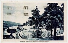 Selva dei pini  Modena - La