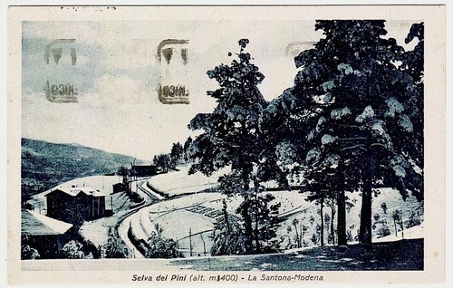 Selva dei pini modena - dei, la