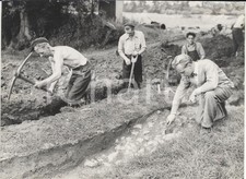 1953 PRESTON HAWE Archaeoligist Brian HOPE-TAYLOR finding medieval road *Photo