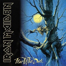 Vinile iron maiden fear - maiden,