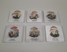 6 vecchie piastrelle