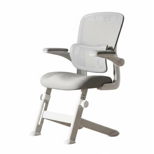 Sedia girevole ergonomica - sedia,