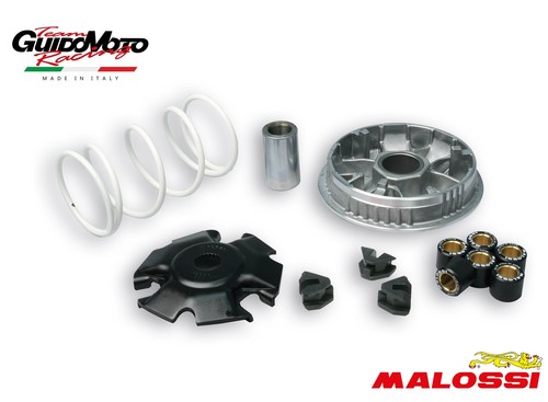 5111594 variatore malossi - 5111594,