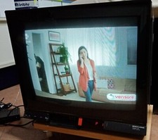 TV BRIONVEGA THEMA 28 Pollici COLORI Televisore Vintage REVISIONATO FUNZIONANTE