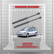 2 MOLLE A GAS BAGAGLIAIO