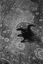 Tappeto persiano gatto nero