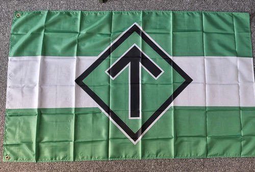 Swedish nationalist viking tyr - swedish,