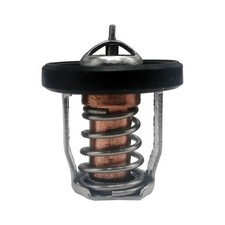 Replacement 60C Thermostat for