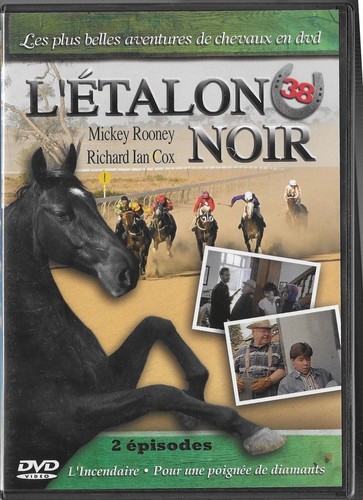 Etalon noir dvd - l'etalon, 38