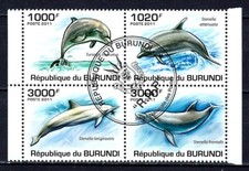 Animali pesci burundi - pesci,
