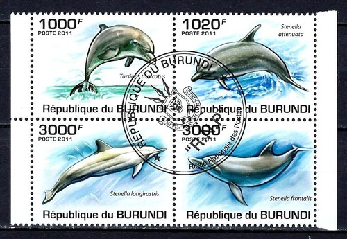 Animali pesci burundi - animali,