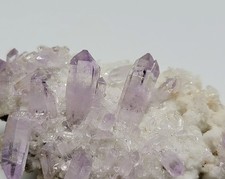 Gemma Ametista su Selenite -