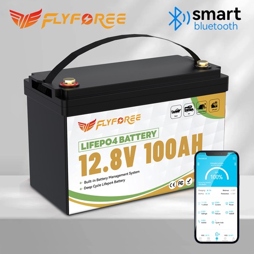 Batteria litio 12v 100ah - al,