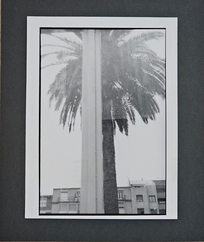 Foto artistica scuola - foto,