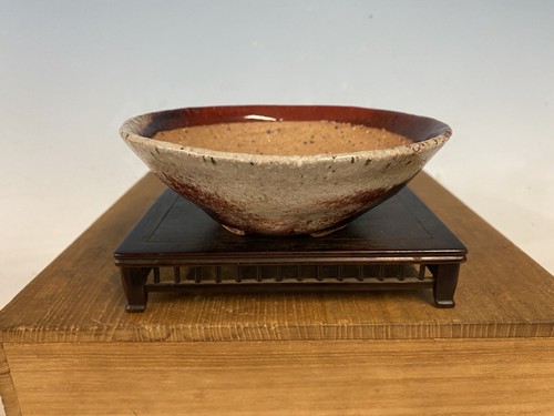 Splendido vaso per bonsai