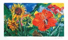 Borta Gianni - girasoli e