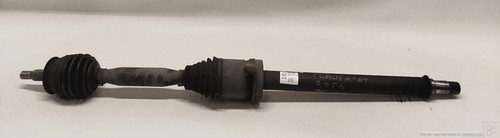 A1693603272 semialbero ant - semialbero,