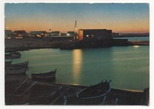 Foca melendugno lecce - lecce,