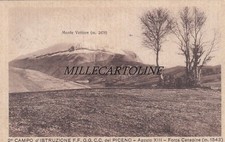 FORCA CANAPINE:  2°  Campo