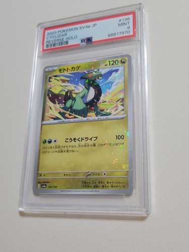 Cyclizar reverse holo - -,