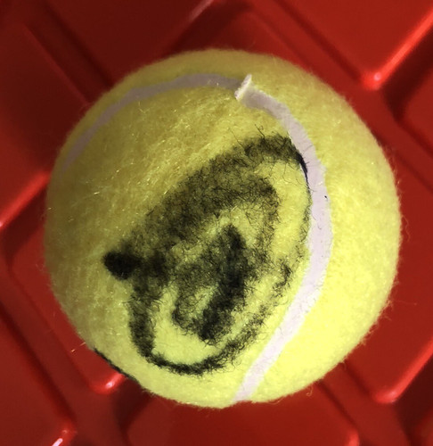 Palla tennis novak - da,