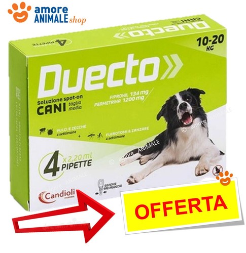 Candioli duecto per - duecto, da