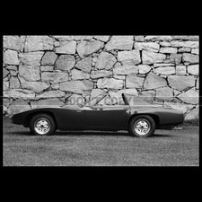 Photo A.009869 FITCH PHOENIX