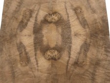 Vene Di Radica Di Noce