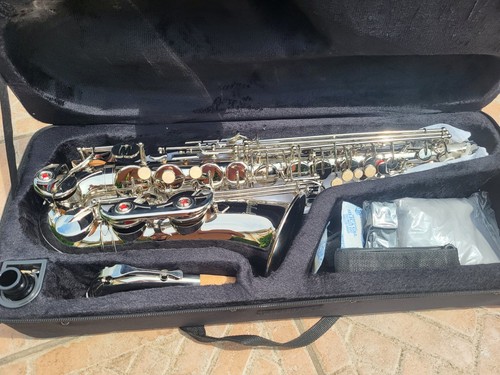 Brand new silver - brand, alto