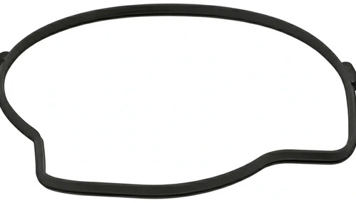 Guarnizione oring pompa acqua