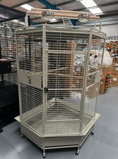 Pappagalli Oklahoma Premium