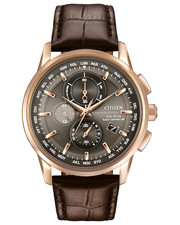 NEW $625 Citizen World