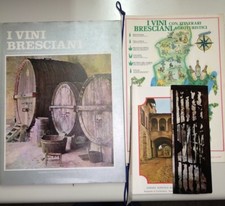 i vini bresciani con itinerari agroturistici piu  azienda agricola G.Berlucchi 