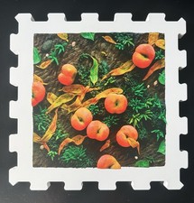 Piero gilardi serigrafia - gilardi, a