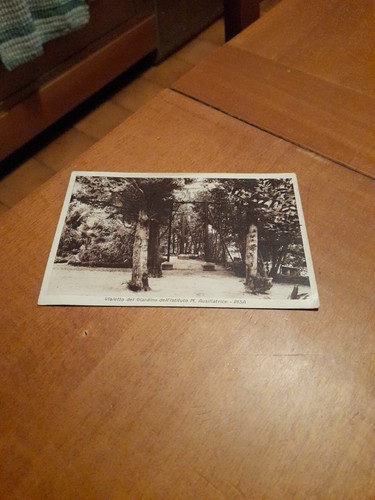 Cartolina pisa vialetto del - vialetto,
