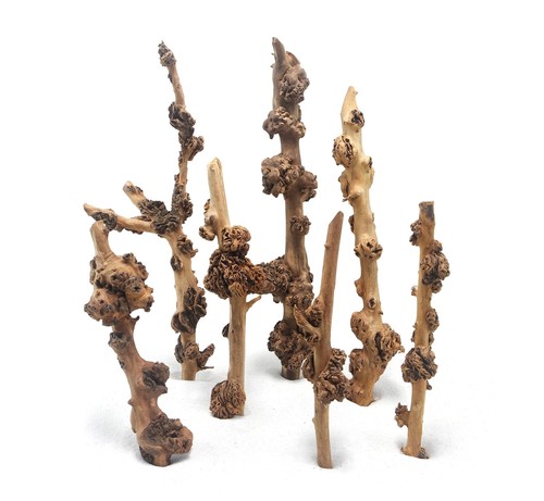 Decorline savana wood legno - decorline,