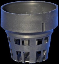 Orchidee - Vaso Rotondo, Ampia