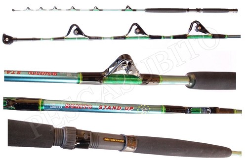 Canna bonito stand - canna,