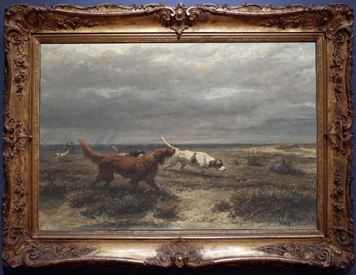 Dipinto olio vintage cani - , da