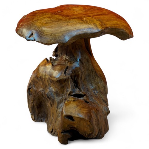 Decorazione funghi radice - funghi,