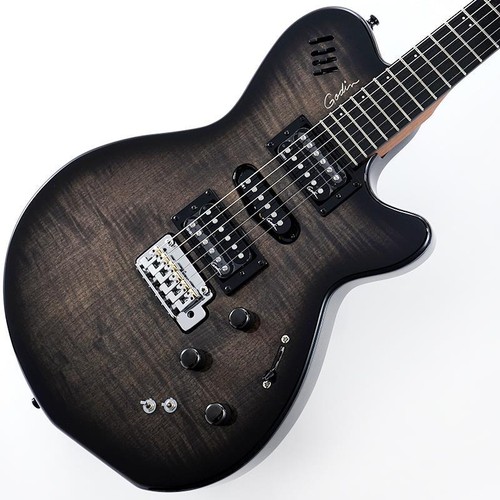 Godin xtsa - godin,