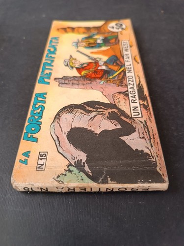 Fumetto foresta petrificata - foresta,