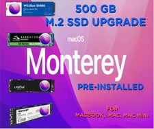 SSD M.2 500 GB con macOS