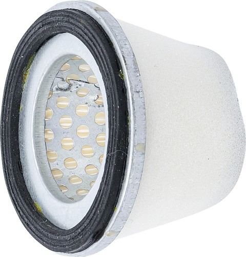Bgs 8717 filtro dell aria - 8717-4, dell'aria