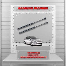 2 PISTONCINI BAGAGLIAIO