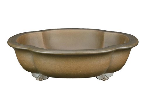 Vaso per bonsai ovale forma - ovale, (forma